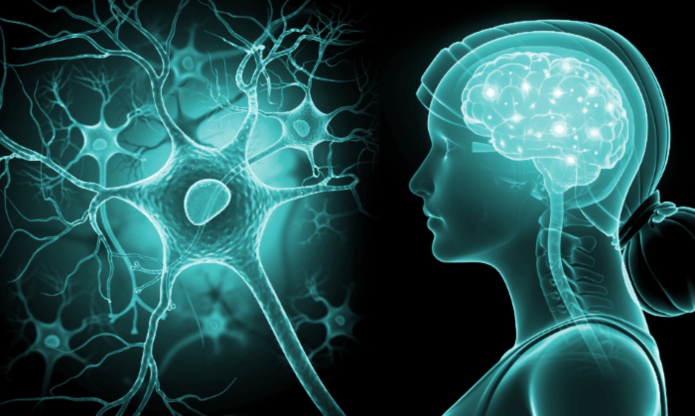 Accompagnement des maladies neurodégénératives
